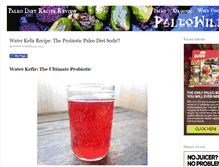 Tablet Screenshot of paleodietrecipes.net